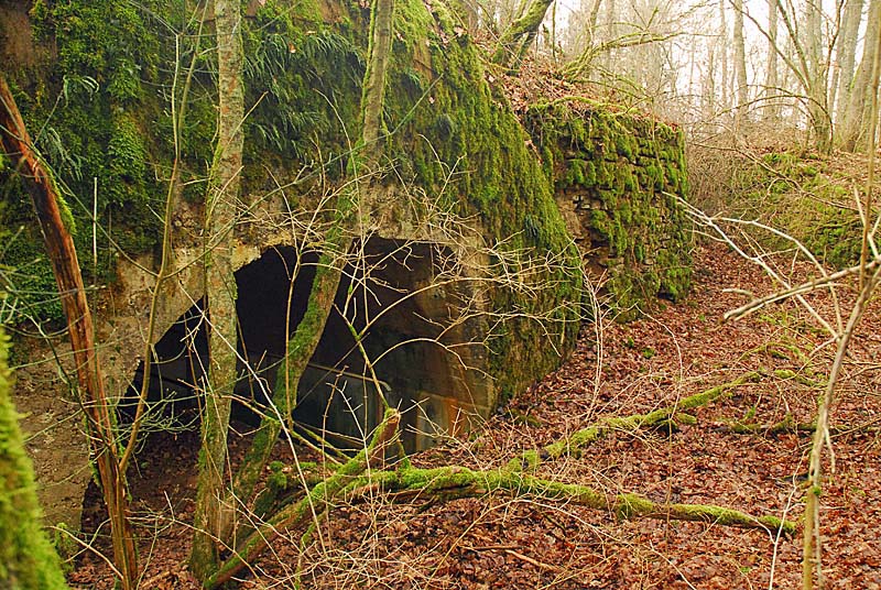 Ouvrage du bois de Champigny, Saints-Geosmes - photo 24