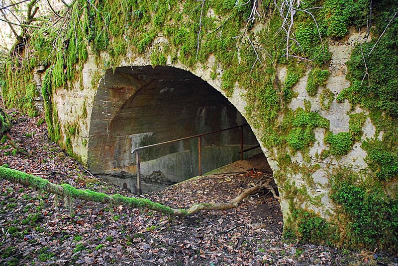Ouvrage du bois de Champigny, Saints-Geosmes - photo 38