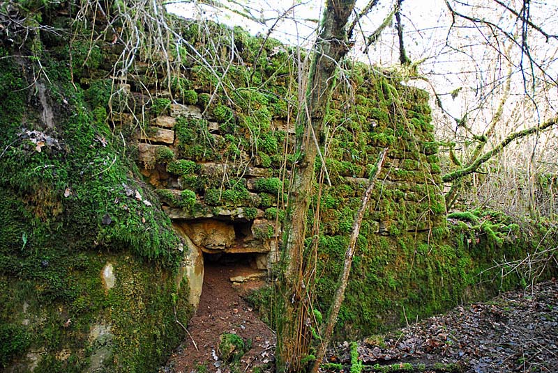 Ouvrage du bois de Champigny, Saints-Geosmes - photo 14