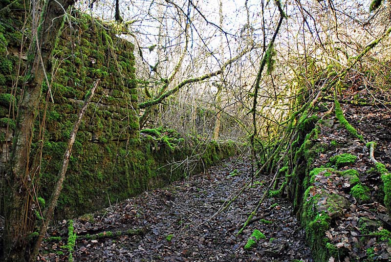 Ouvrage du bois de Champigny, Saints-Geosmes - photo 19