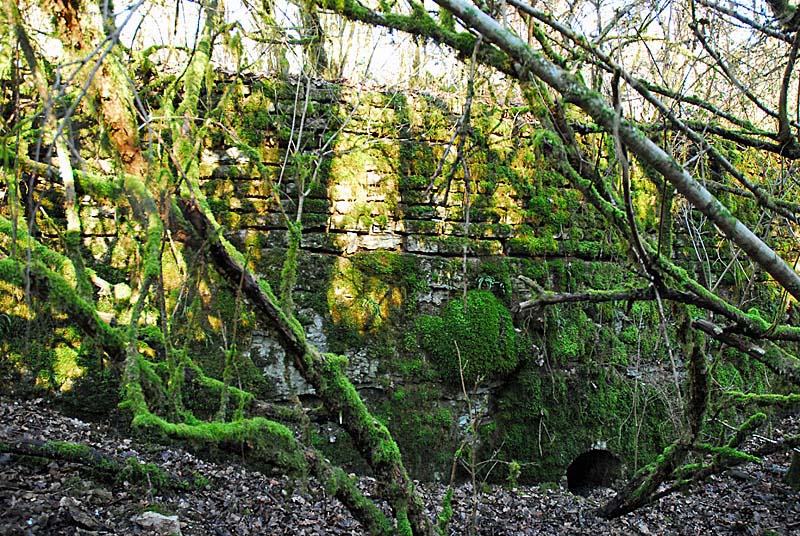 Ouvrage du bois de Champigny, Saints-Geosmes - photo 11
