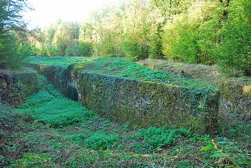 OUVRAGE DU BOIS DE LA MONTAGNE, Changey - photo 7