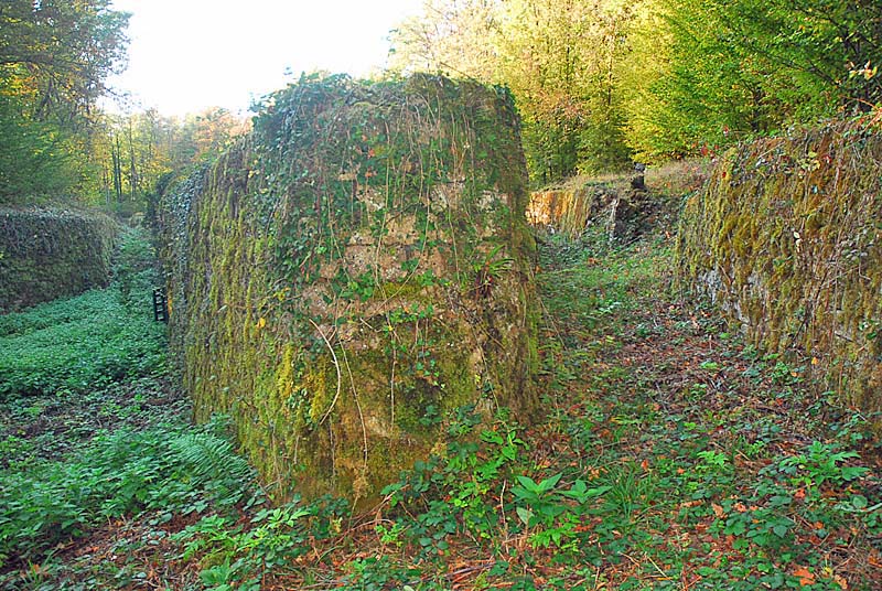 OUVRAGE DU BOIS DE LA MONTAGNE, Changey - photo 16