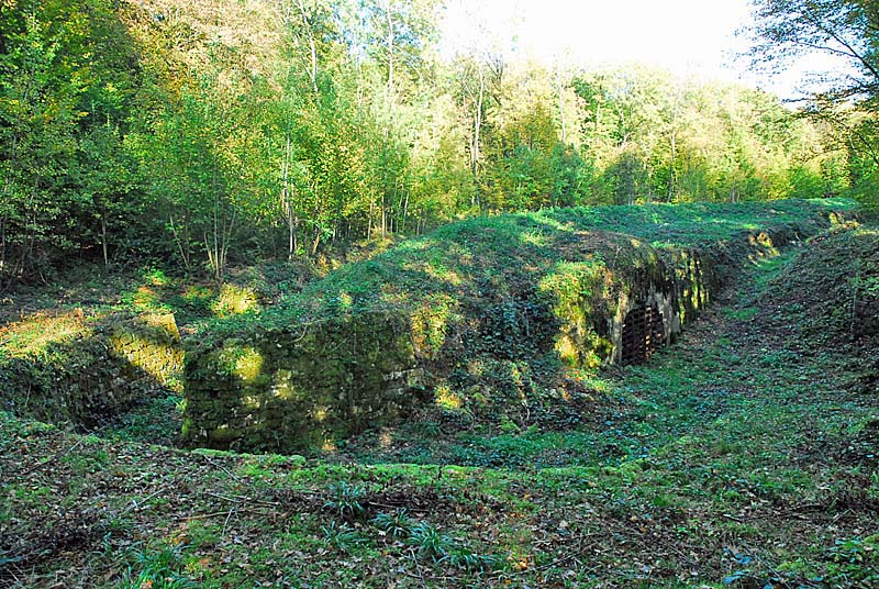 OUVRAGE DU BOIS DE LA MONTAGNE, Changey - photo 12