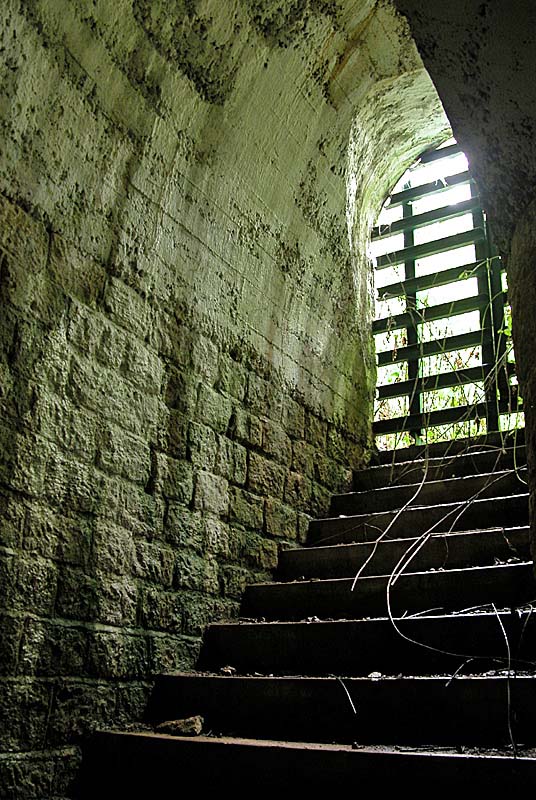 OUVRAGE DU BOIS DE LA MONTAGNE, Changey - photo 19