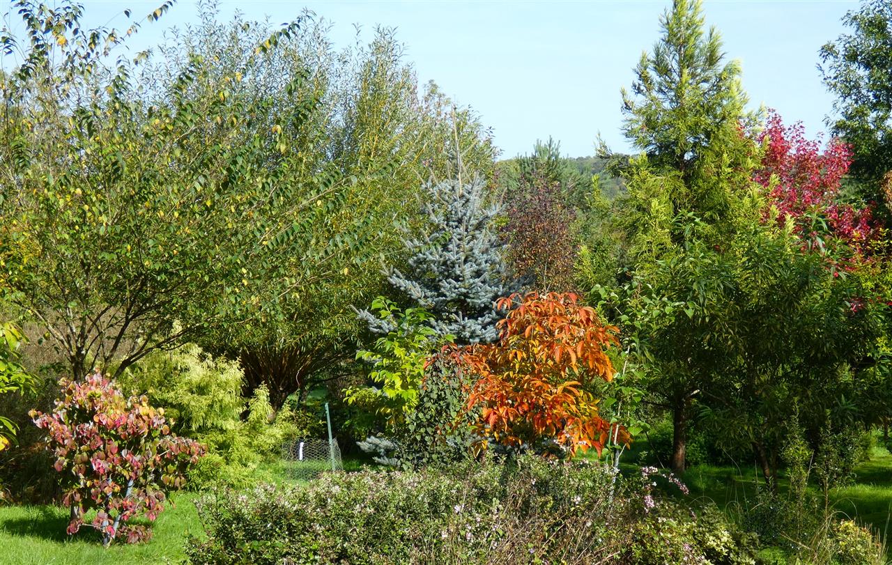 Jardin de L'Eau Vive