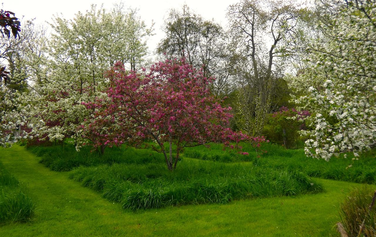 Jardin de L'Eau Vive