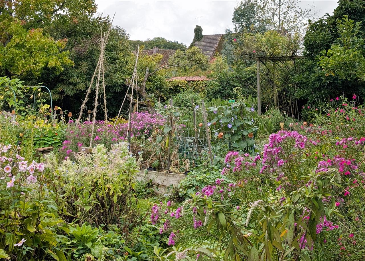 PXL_20250921_121134701