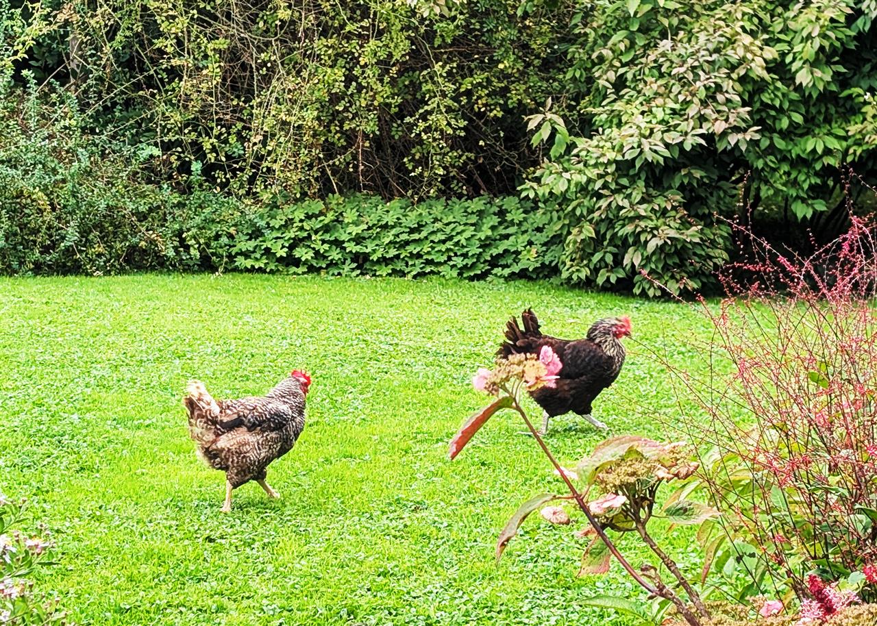 PXL_20250921_121818788