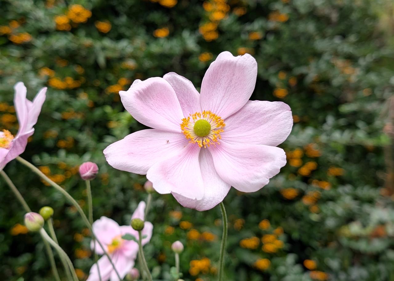 PXL_20250921_122316357