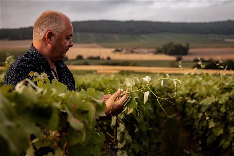 Champagne Eric Taillet