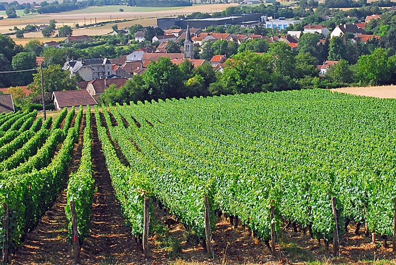 Panorama d'Aubigny, Le Montsaugeonnais - photo 4