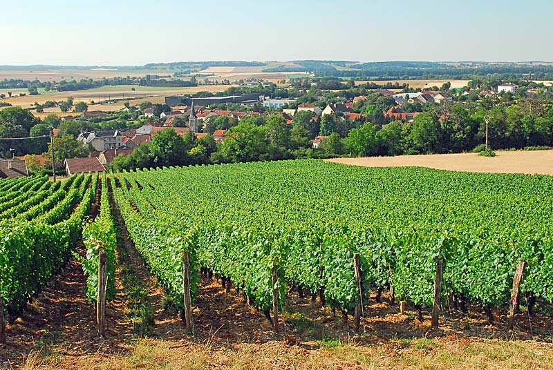 Panorama d'Aubigny, Le Montsaugeonnais - photo 3