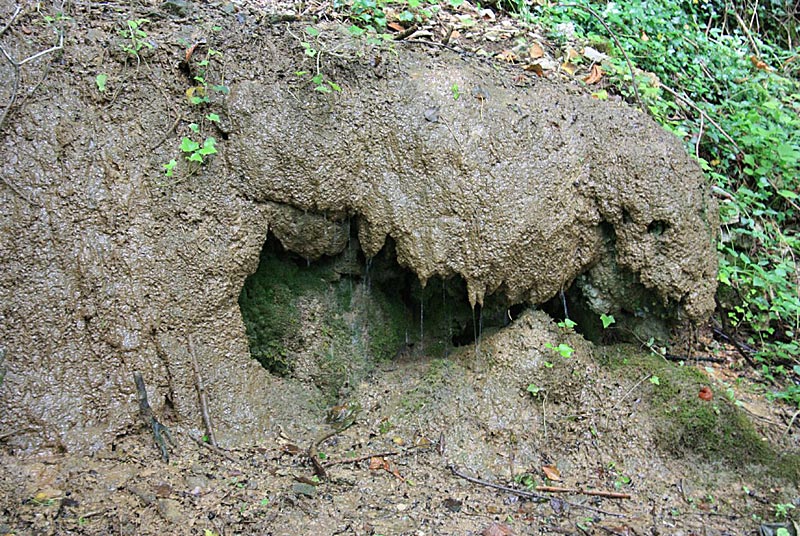 PARC DE LA COTE GUEUDIN