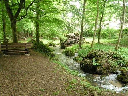 Parc du Sourdon - Saint Martin d'Ablois