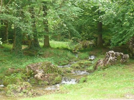 Parc du Sourdon - Saint Martin d'Ablois
