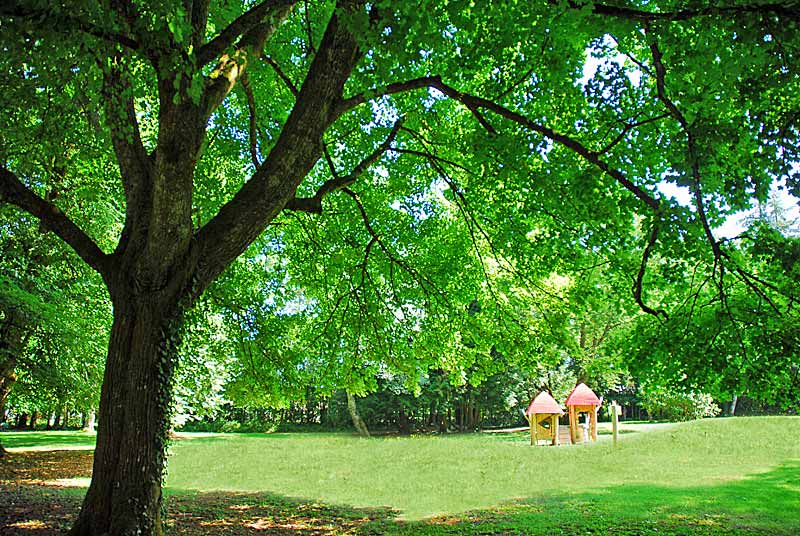 Parc du Chesnoy, Val-de-Meuse - photo 8