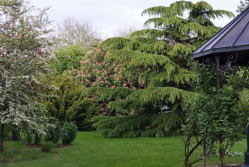 PARC ET JARDINS DU CHATEAU D'OUGE, Ouge - photo 8