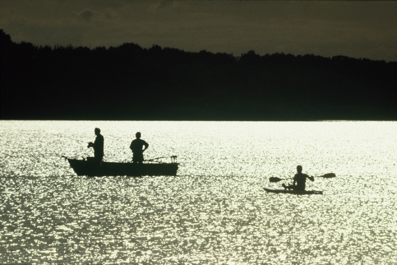 Domaine de Tournizet