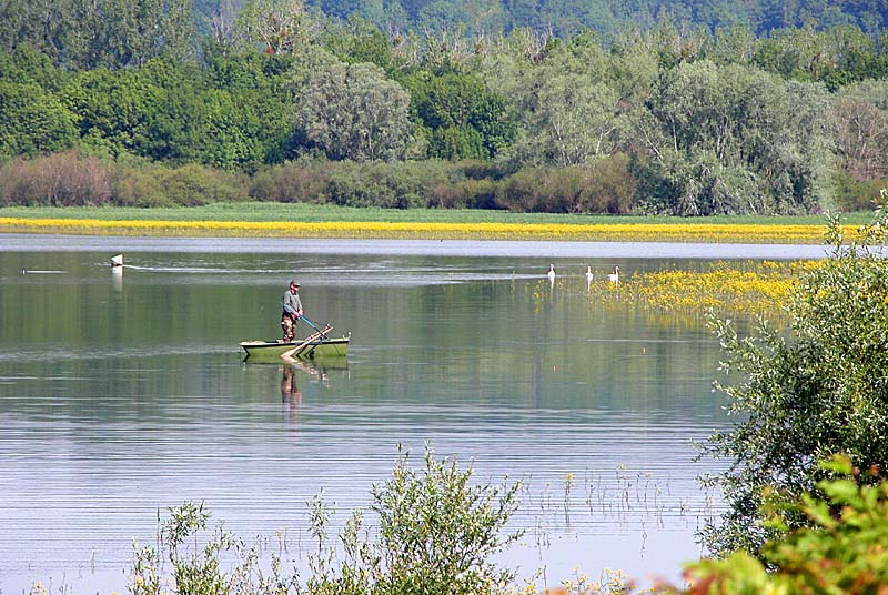PECHE AU LAC DE LA VINGEANNE