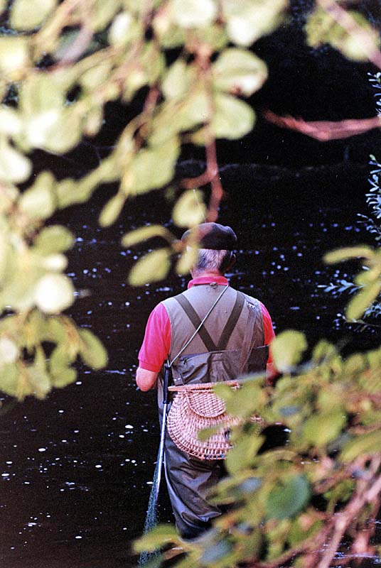 PECHE AVEC L'EPINOCHE LANGROISE