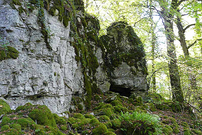 PELOUSE ET BOIS DE MOURIE, Chassigny - photo 2
