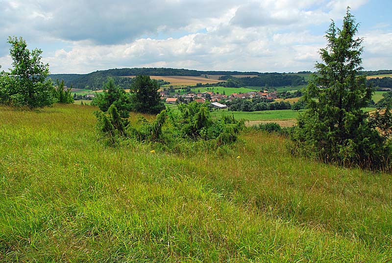 PELOUSE CALCAIRE DE LA BOSSE, Rochetaillée - photo 5