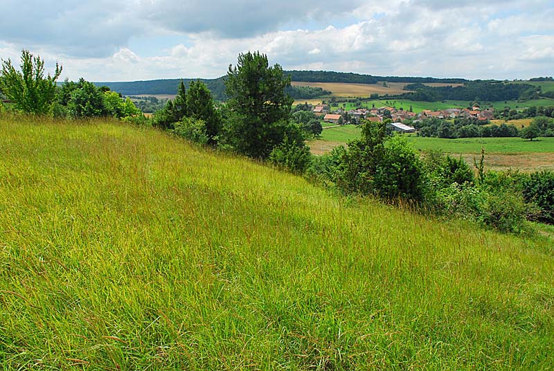 PELOUSE CALCAIRE DE LA BOSSE, Rochetaillée - photo 3