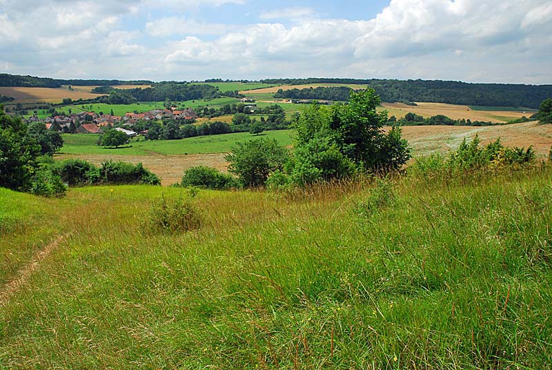 PELOUSE CALCAIRE DE LA BOSSE, Rochetaillée