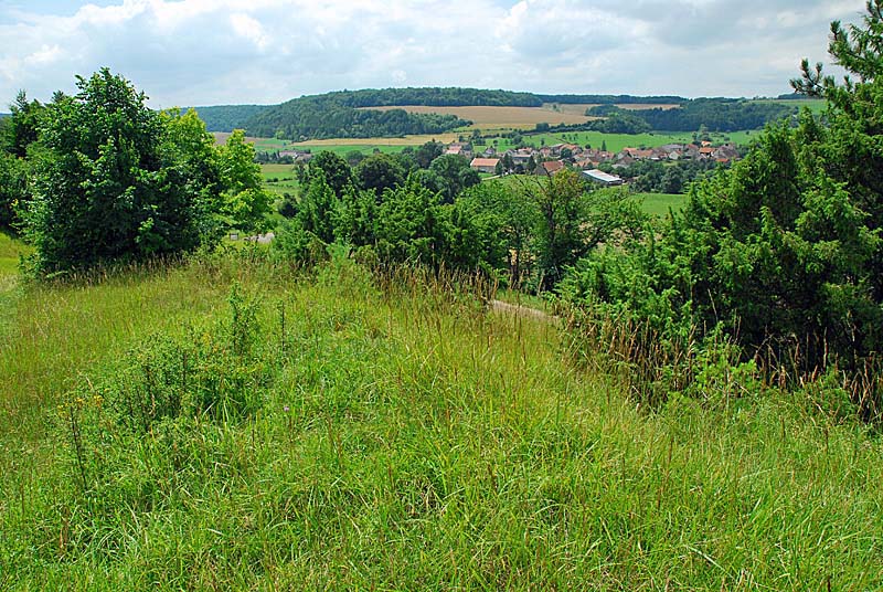 PELOUSE CALCAIRE DE LA BOSSE, Rochetaillée - photo 8
