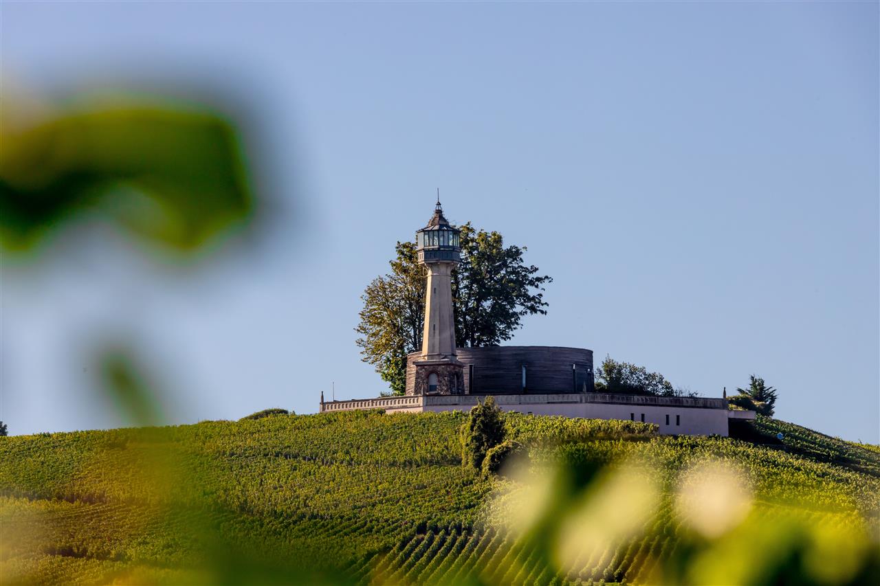 Phare-de-Verzenay---Jour--1--min