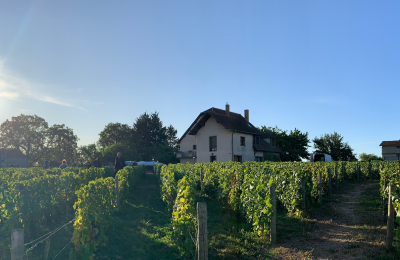 Maison Familiale Le Clos 667