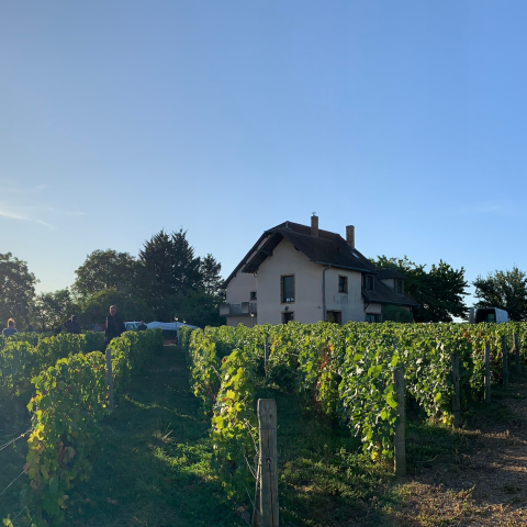 Maison Familiale Le Clos 667