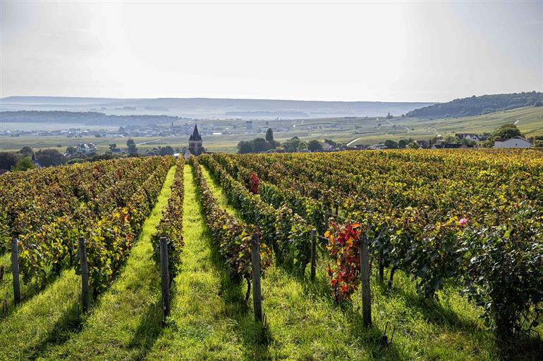 Photo trotti tour pour office de tourisme 3