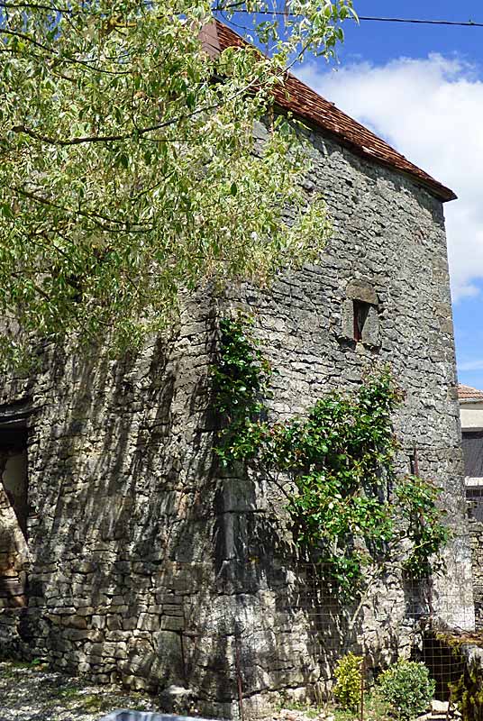 PIGEONNIER DE FERME A CHASSIGNY, Chassigny - photo 4