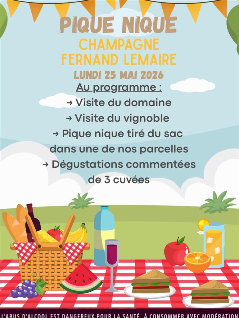 Pique nique Chp Fernand Lemaire 2