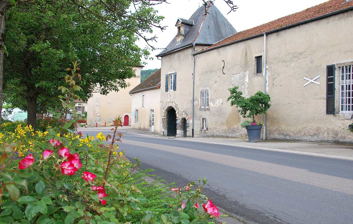 CHATEAU DE RIAUCOURT, Poissons - photo 4