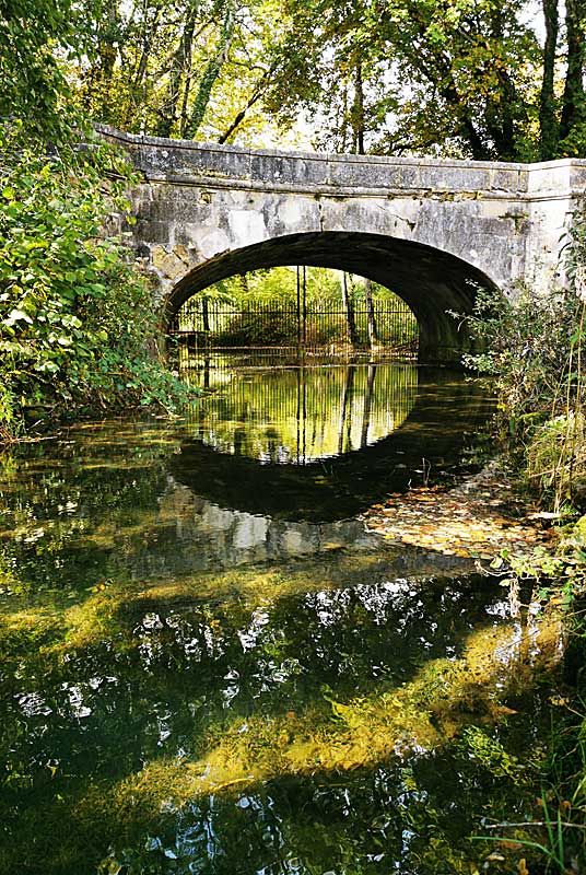 PONT GRISELIN, Auberive - photo 6