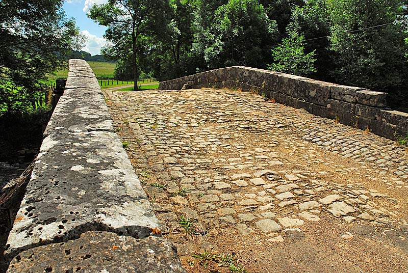 PONT ROMAIN DE ROLAMPONT, Rolampont - photo 10