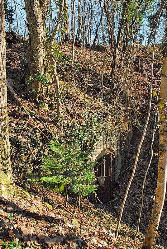 MAGASIN A POUDRE DE PLESNOY