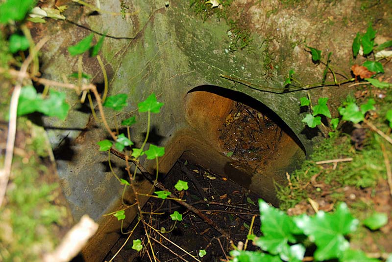MAGASIN A POUDRE DU BOIS DE SALICANT, Orbigny-au-Val - photo 25