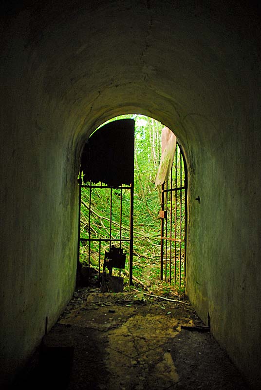 MAGASIN A POUDRE DU BOIS DE SALICANT, Orbigny-au-Val - photo 20