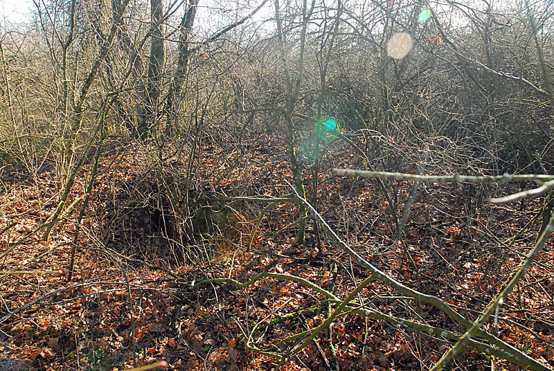 PUITS DE LA COMBE DE GRAND'GORGE