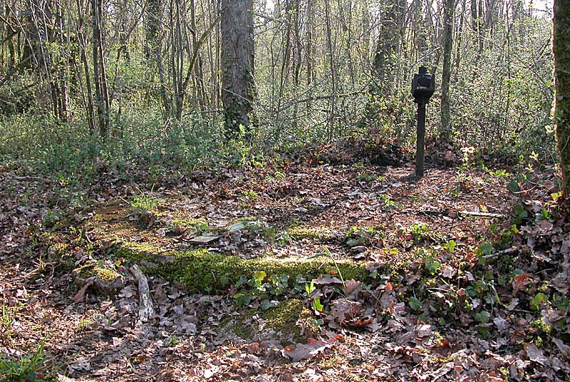 PUITS DE LA COMBE DES DIMES, Noidant-le-Rocheux - photo 2