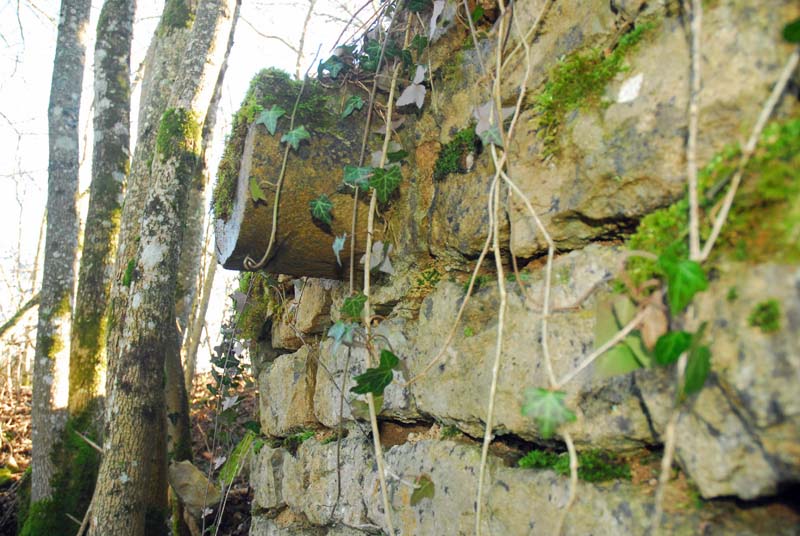 Puits de la Fougère, Saints-Geosmes - photo 6