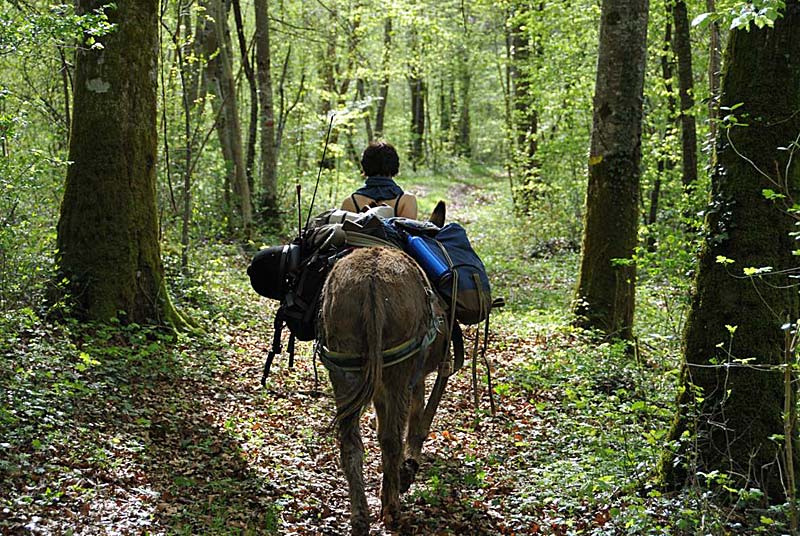 Randonnée avec un âne - Les Chemins de Traverse