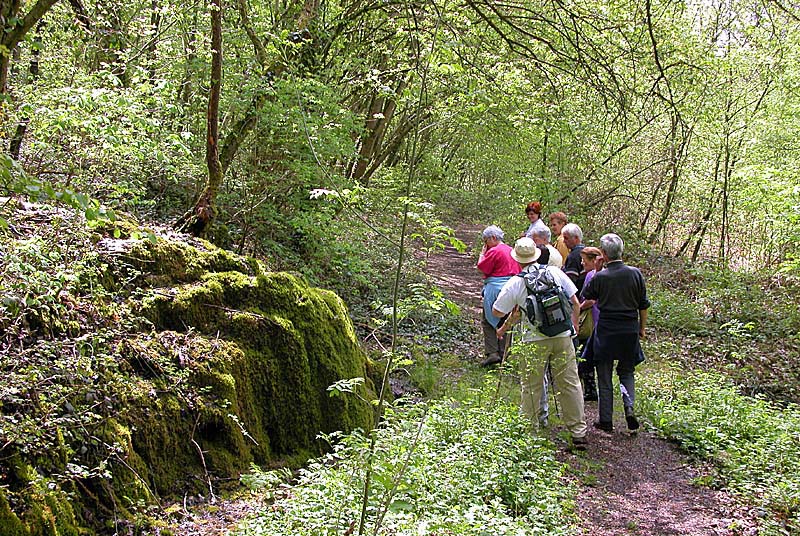 TUFIERE DE FONTAINE LEGERE