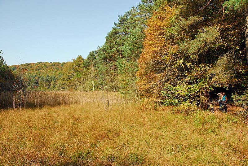 MARAIS DE CHALMESSIN, Vals-des-Tilles - photo 3