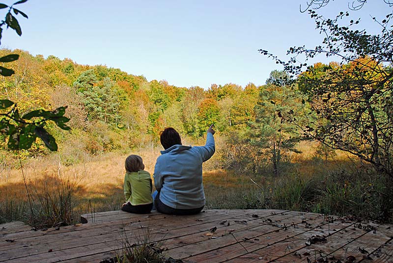 MARAIS DE CHALMESSIN, Vals-des-Tilles - photo 10