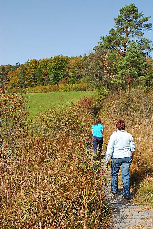 MARAIS DE CHALMESSIN, Vals-des-Tilles - photo 12
